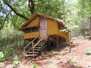 Into the Green Best Luxury Jungle Lodges for Nature Lovers