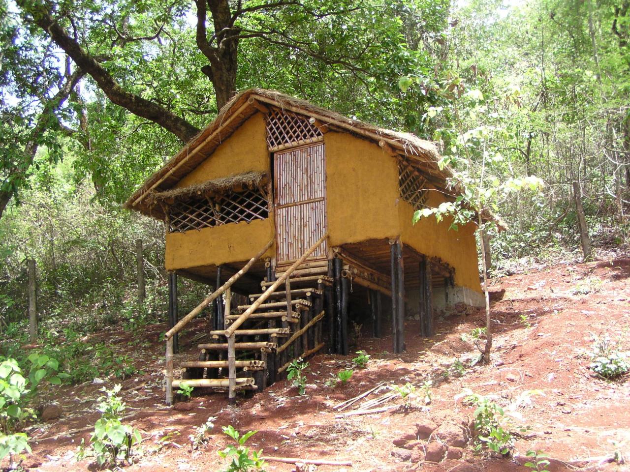 Into the Green Best Luxury Jungle Lodges for Nature Lovers