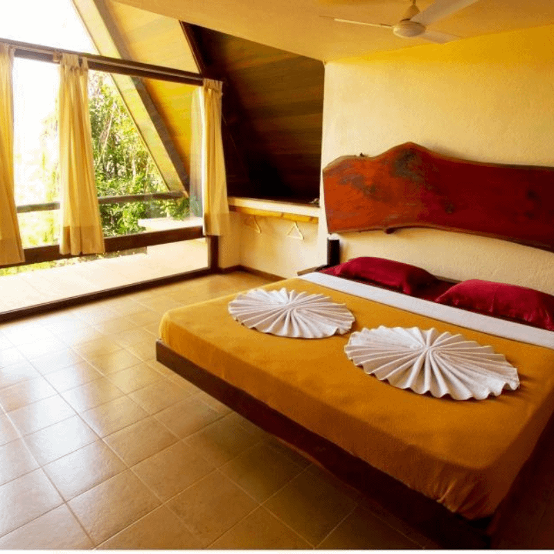 Into the Green Best Luxury Jungle Lodges for Nature Lovers