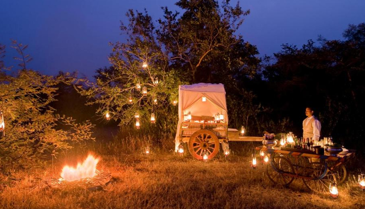 Into the Green Best Luxury Jungle Lodges for Nature Lovers